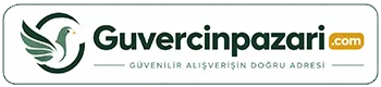 Güvercin Pazarı