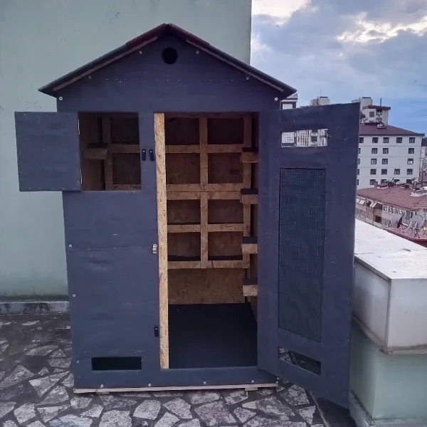 Güvercin kümesi R120