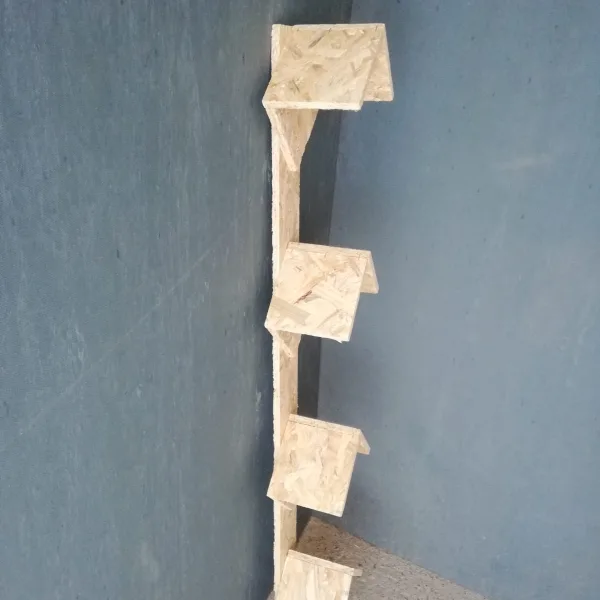Güverci̇n Tünek